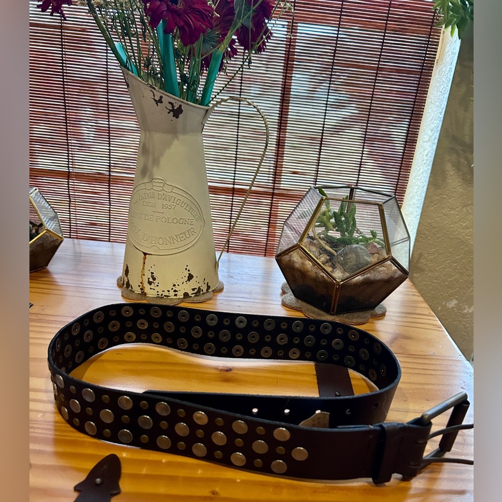 NEW Hollister Leather Brown Brass Studded Belt $39